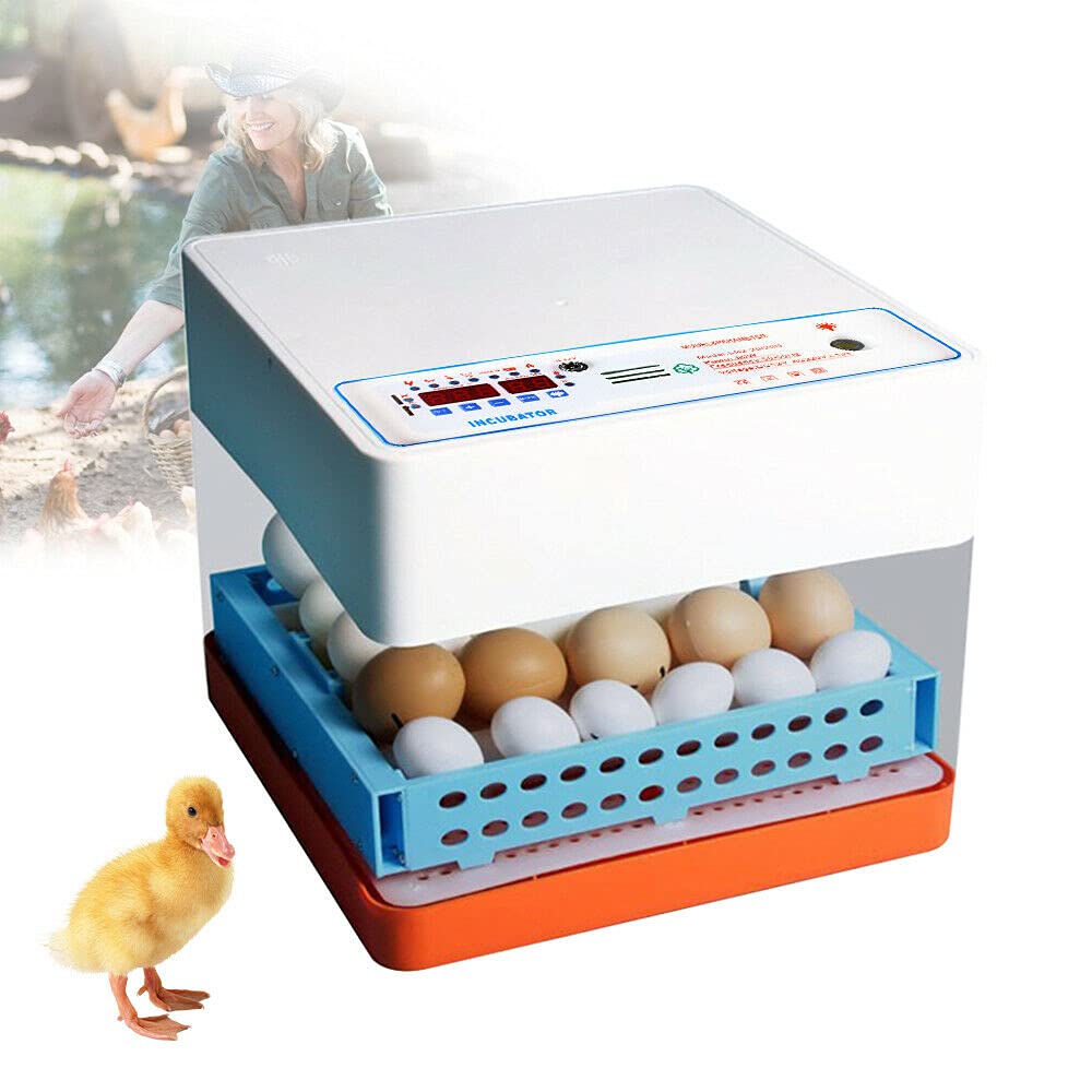 Inkubator 24 Eier Automatisches Drehung