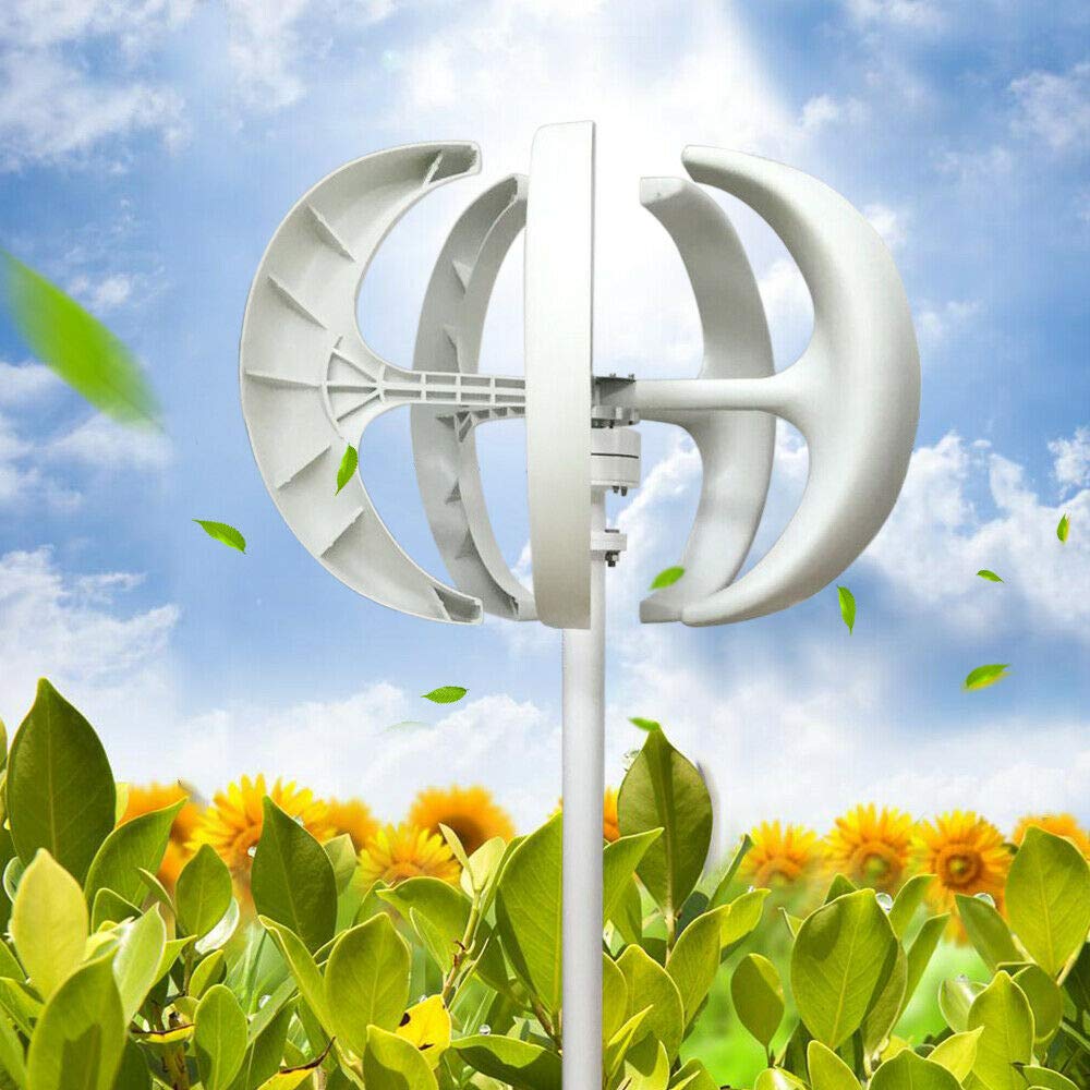 600W 24V Windkraftanlage Windturbine 5 Blätter 