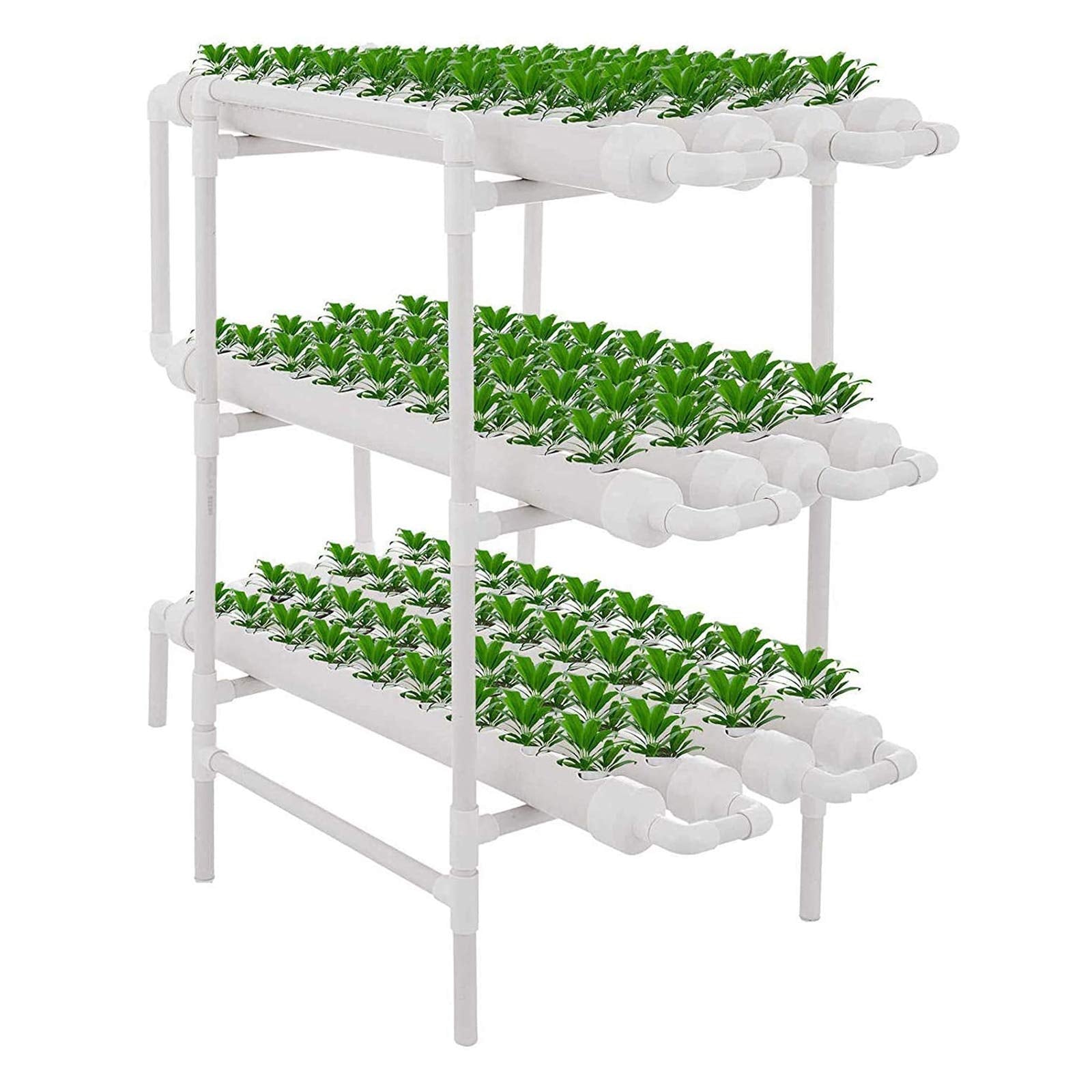 Gemüse Hydroponik Wachsen System Kit 