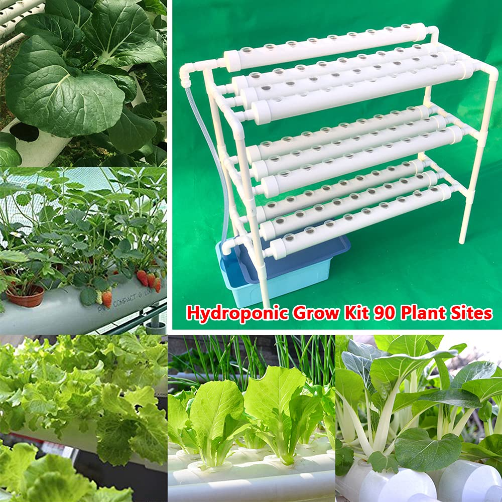 Hydroponisches System - Hydroponic Grow Kit