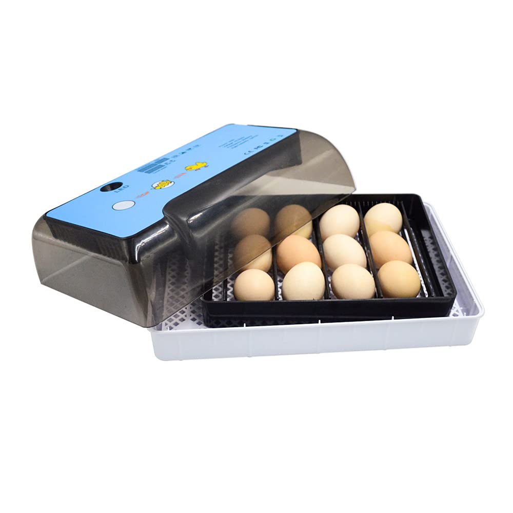 12 Eier Vollautomatische Brutmaschine Brutapparat Flächenbrüter Inkubator