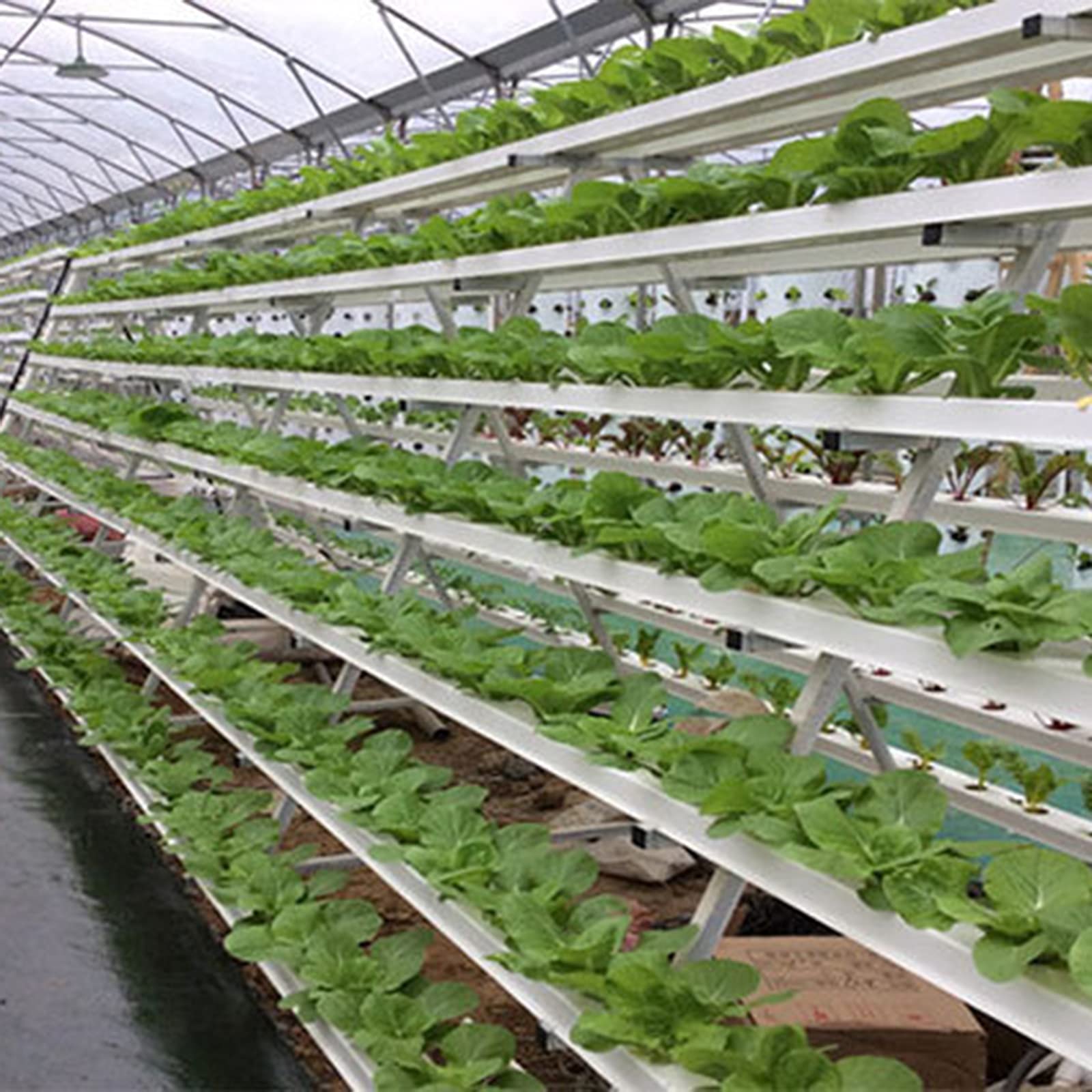 Rohrhaus für Hydroponik, erdlose Pflanzenanbau-Systeme für Gemüse