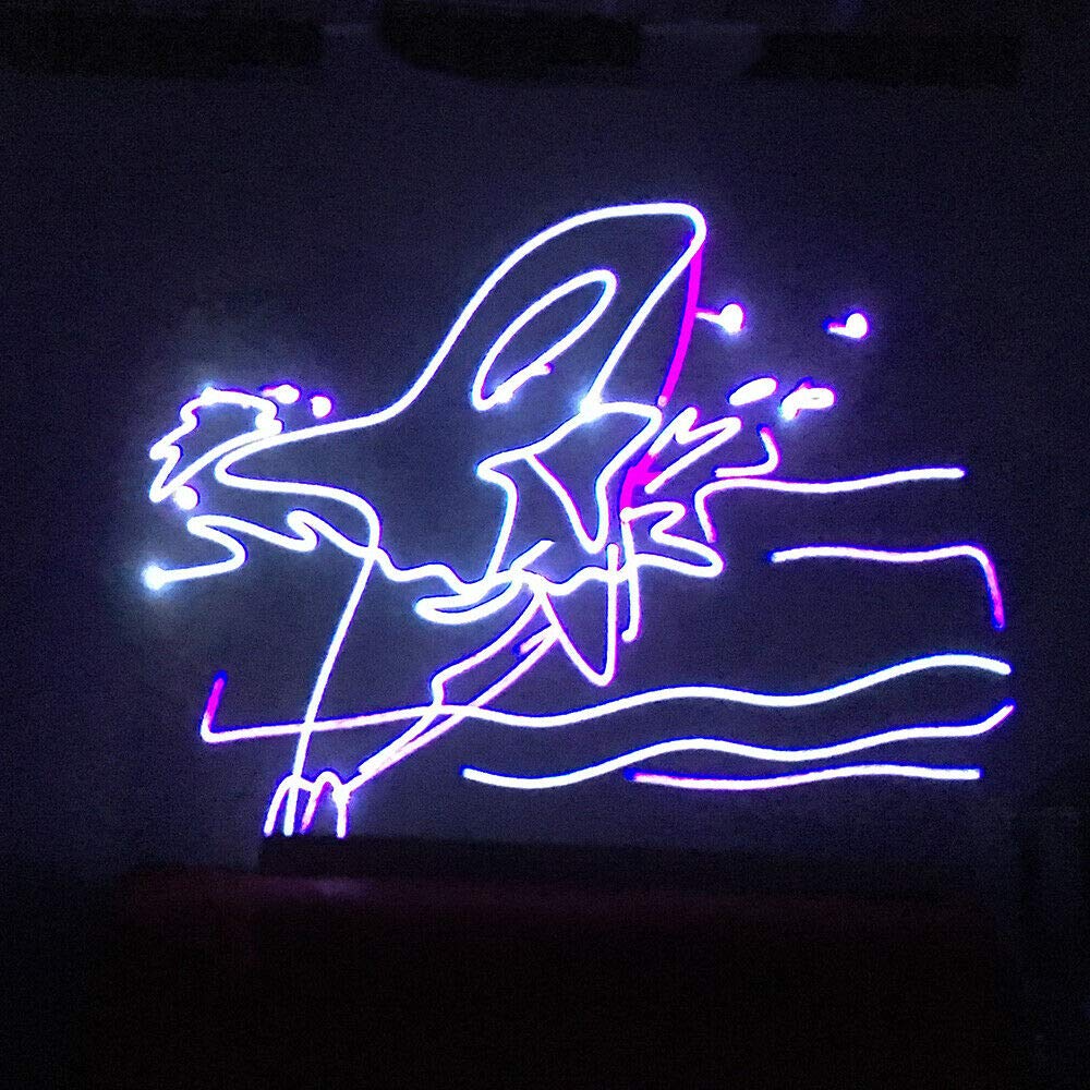 500mw SD-Karte RGB-Animation DMX ILDA Laserprojektor DJ Party Bühnenbeleuchtung