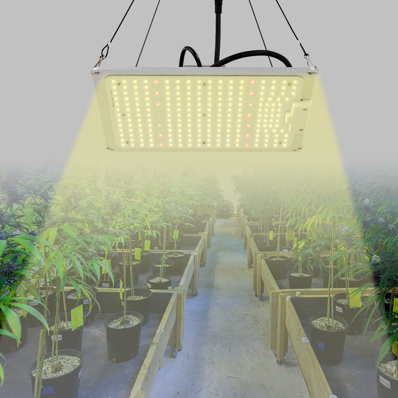 Vollspektrum LED Pflanzenlampe