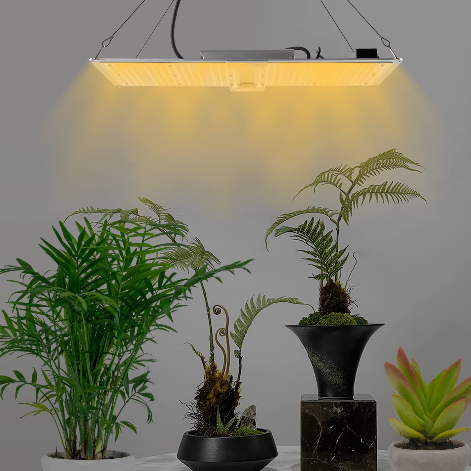 Pflanzenlampe LED Vollspektrum Indoor Grow Light