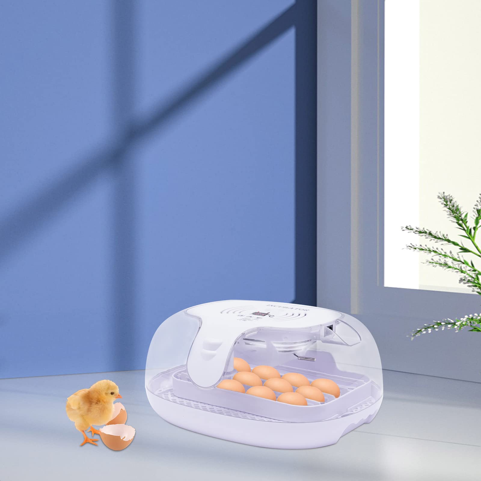 Inkubator Kleiner 16 LED Eier Inkubator