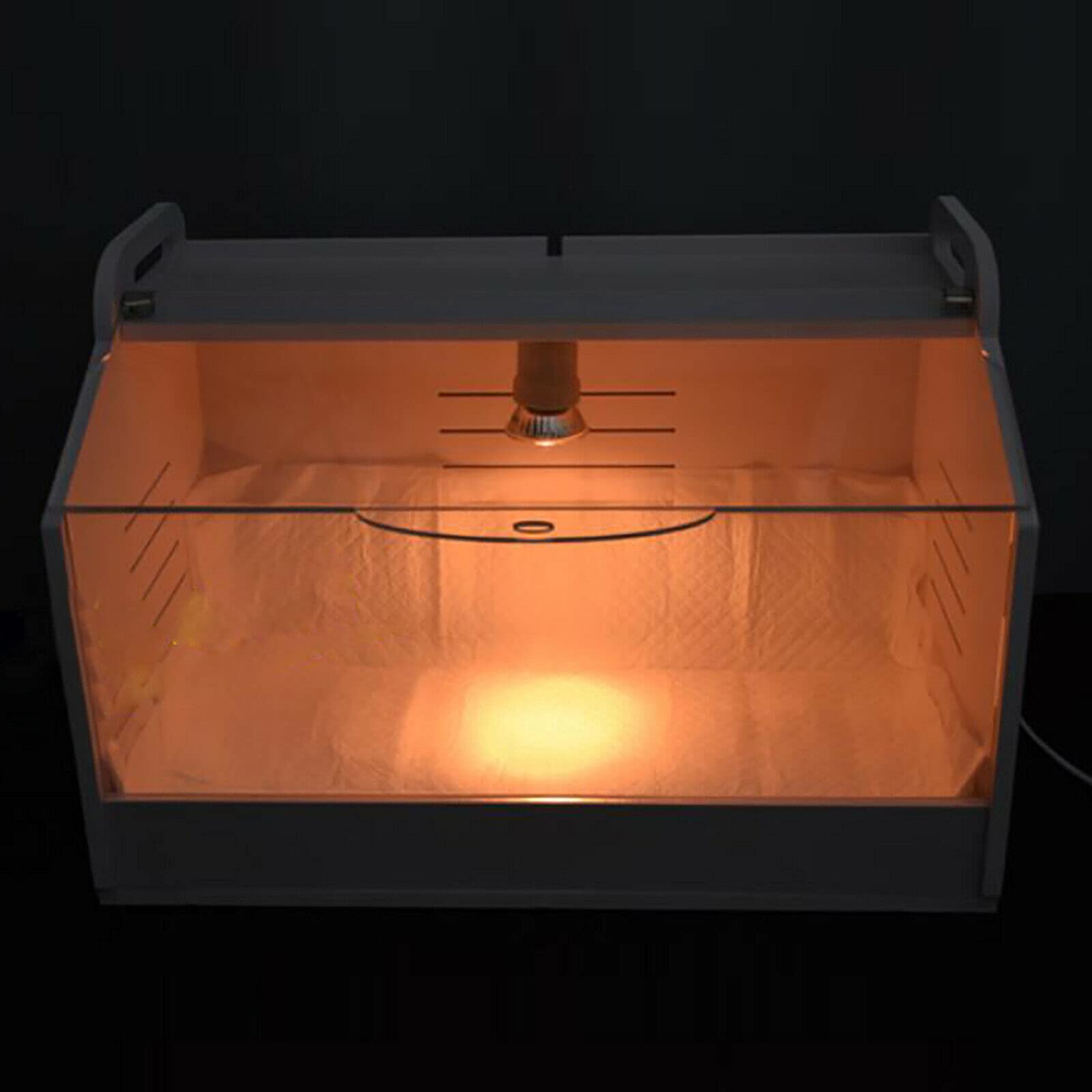 Automatische Küken Aufzucht Box mit Wärme Lampe